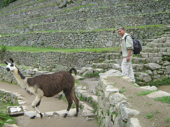 Cultural tour to Machu Picchu photo 3